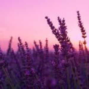 Meet your Posher, Kaylee